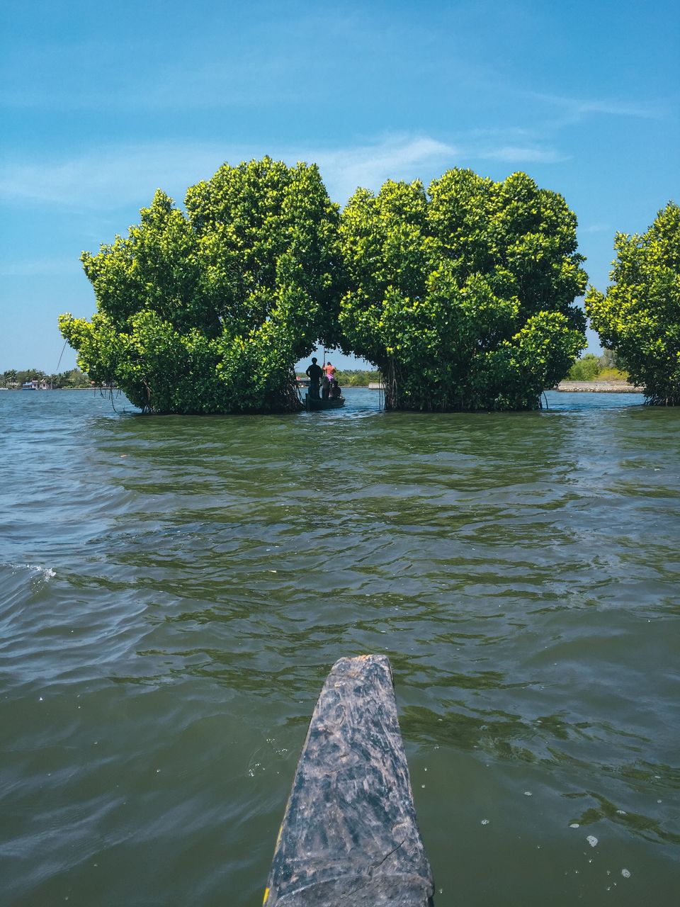 Photo of A voyage to the vanishing Islands! #TheBlues 3/4 by Sarath Sreekantan