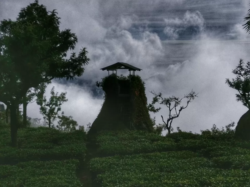 Photo of Coonoor, Tamil Nadu, India by Preetish Mohite