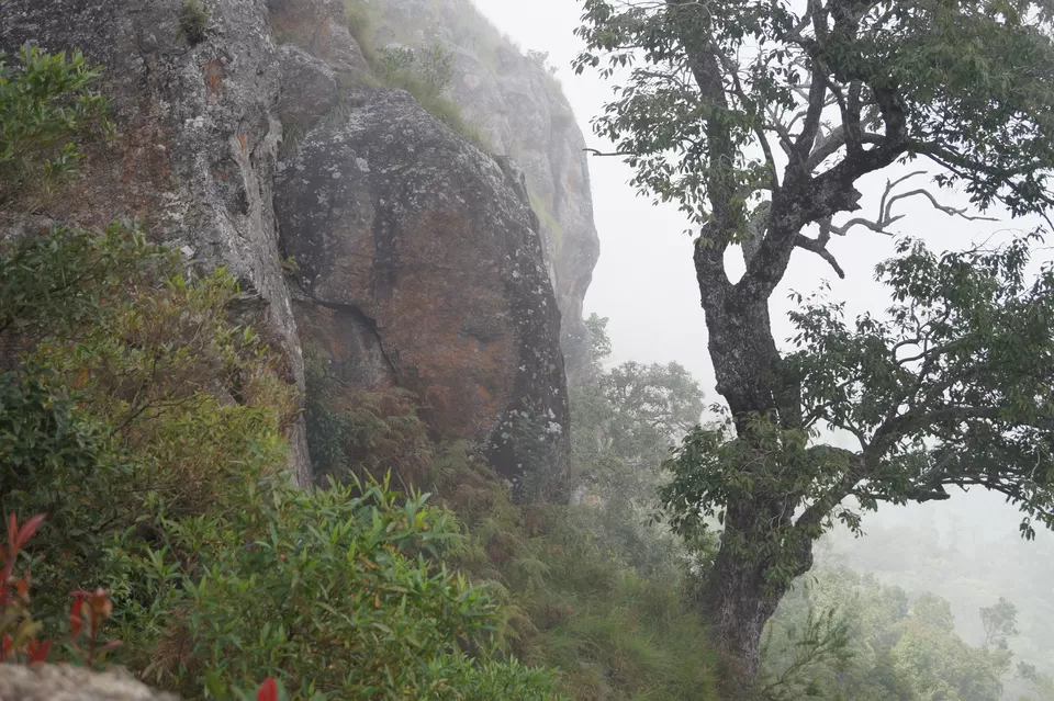 Photo of Lamb's Rock View Point, Geetha Hall Road, Gopalapuram, Coimbatore, Tamil Nadu, India by Preetish Mohite