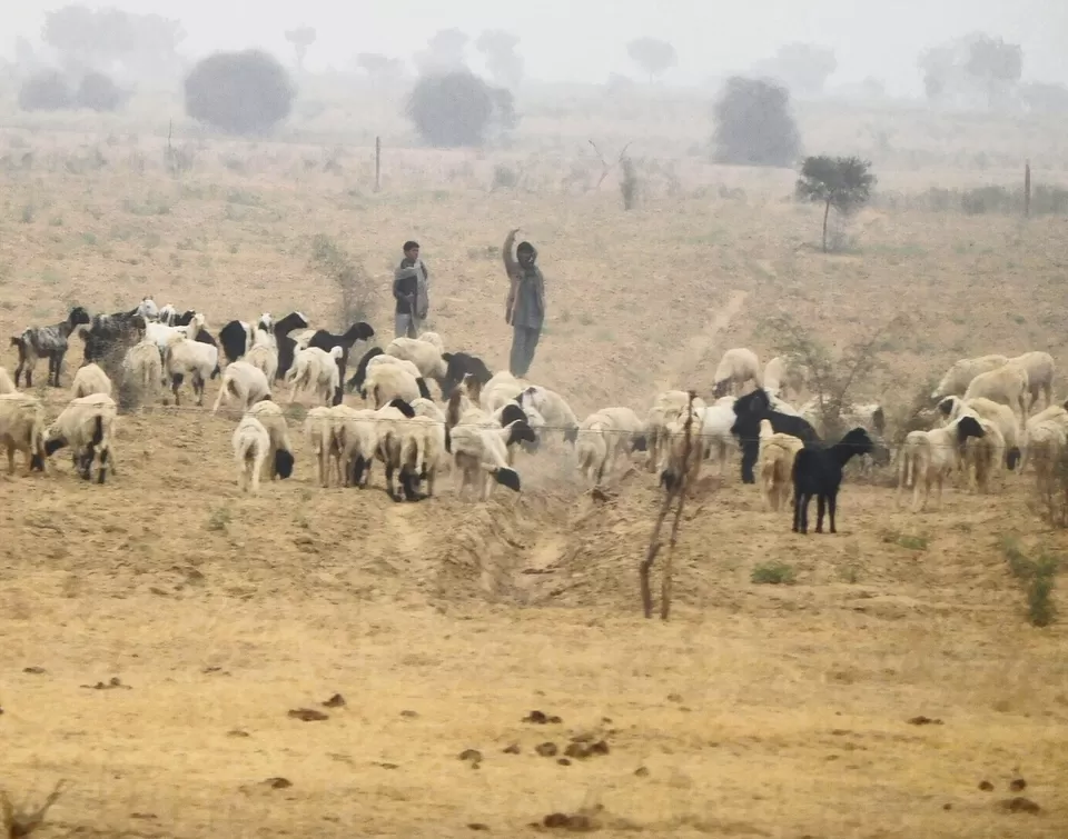 Photo of Jaisalmer, Rajasthan, India by Srinivas Aditya