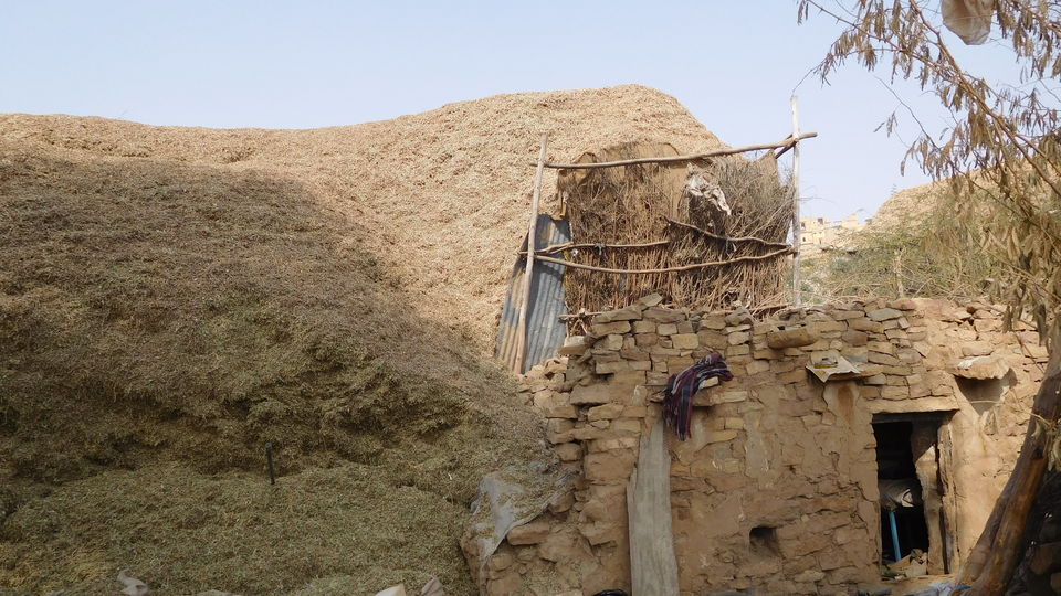 Photo of JAISALMER: My First Solo Trip by Srinivas Aditya