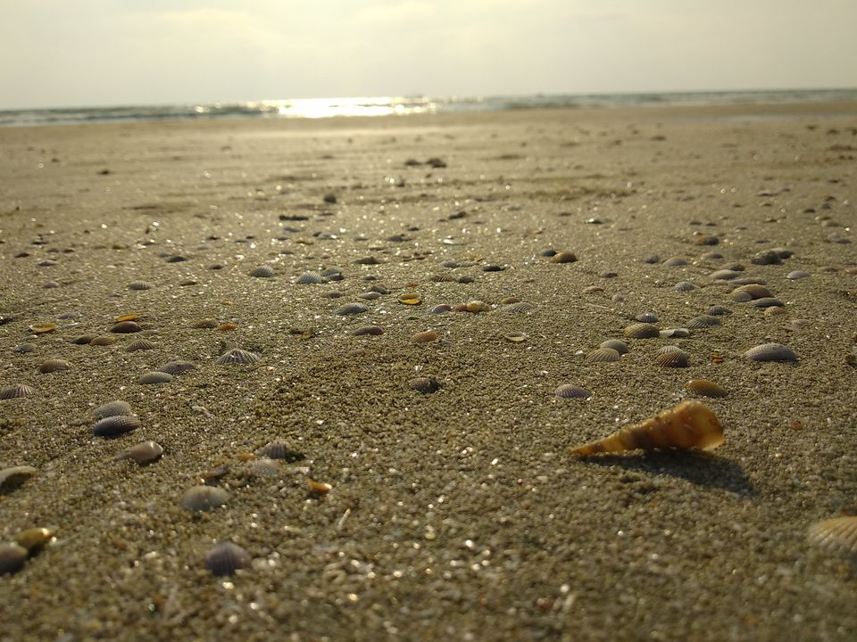 Photo of Goa - A Dream Lived | Day 3 by Vinayak Verma
