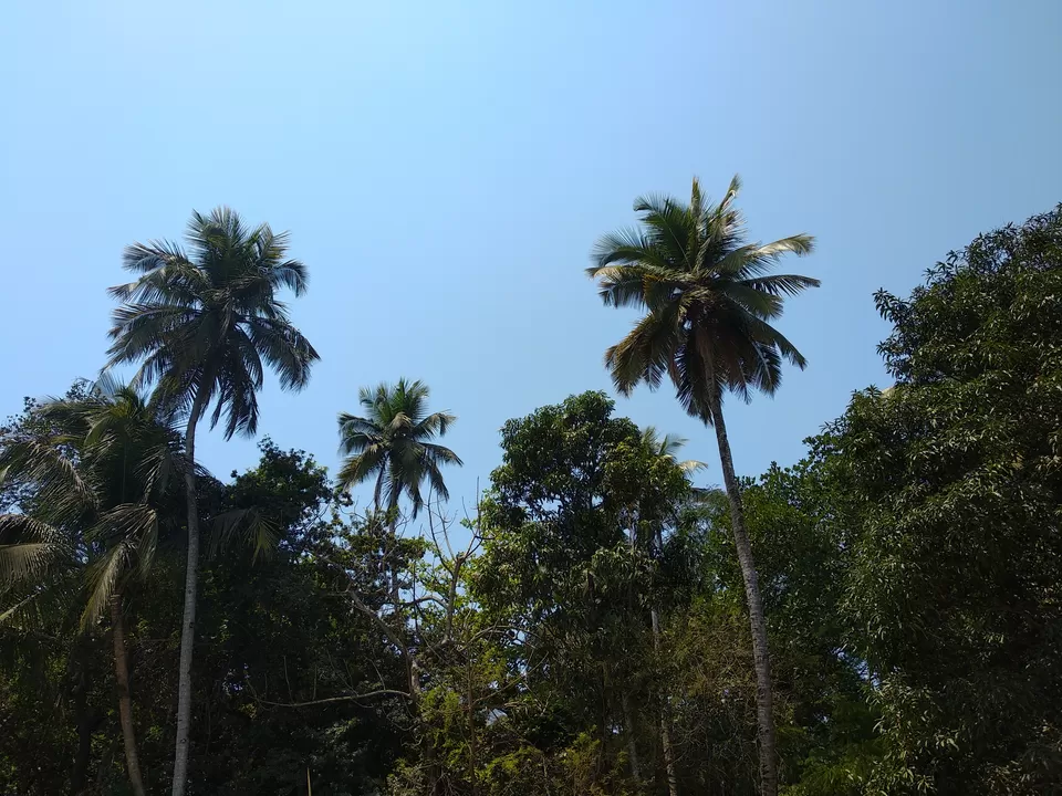 Photo of South Goa, Goa, India by Vinayak Verma