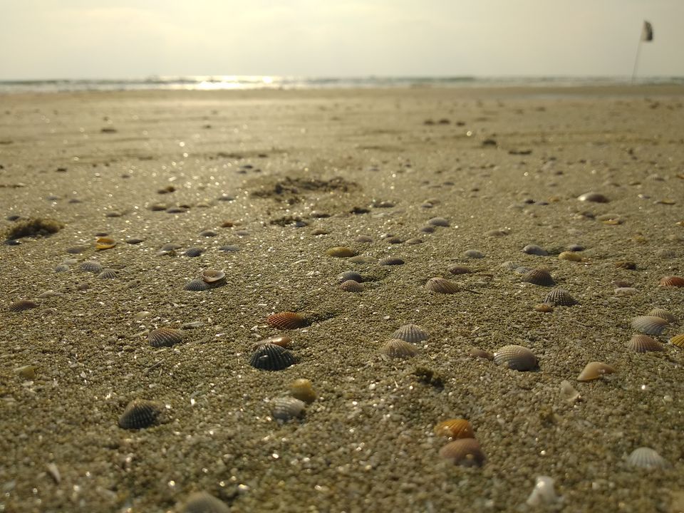 Photo of Goa - A Dream Lived | Day 3 by Vinayak Verma