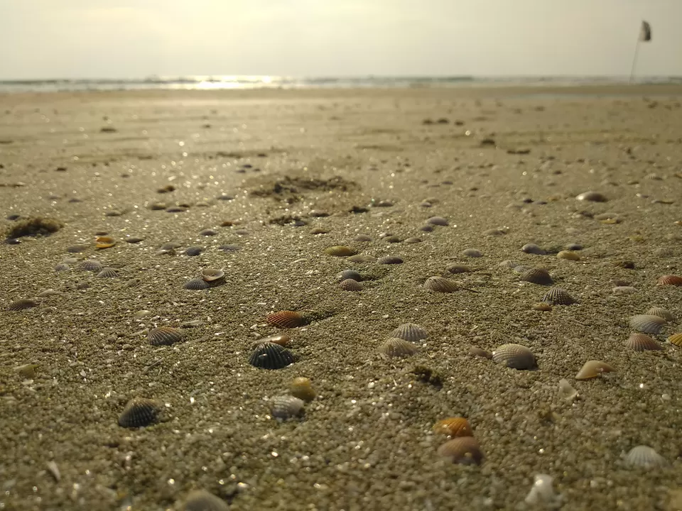Photo of Goa - A Dream Lived | Day 3 by Vinayak Verma