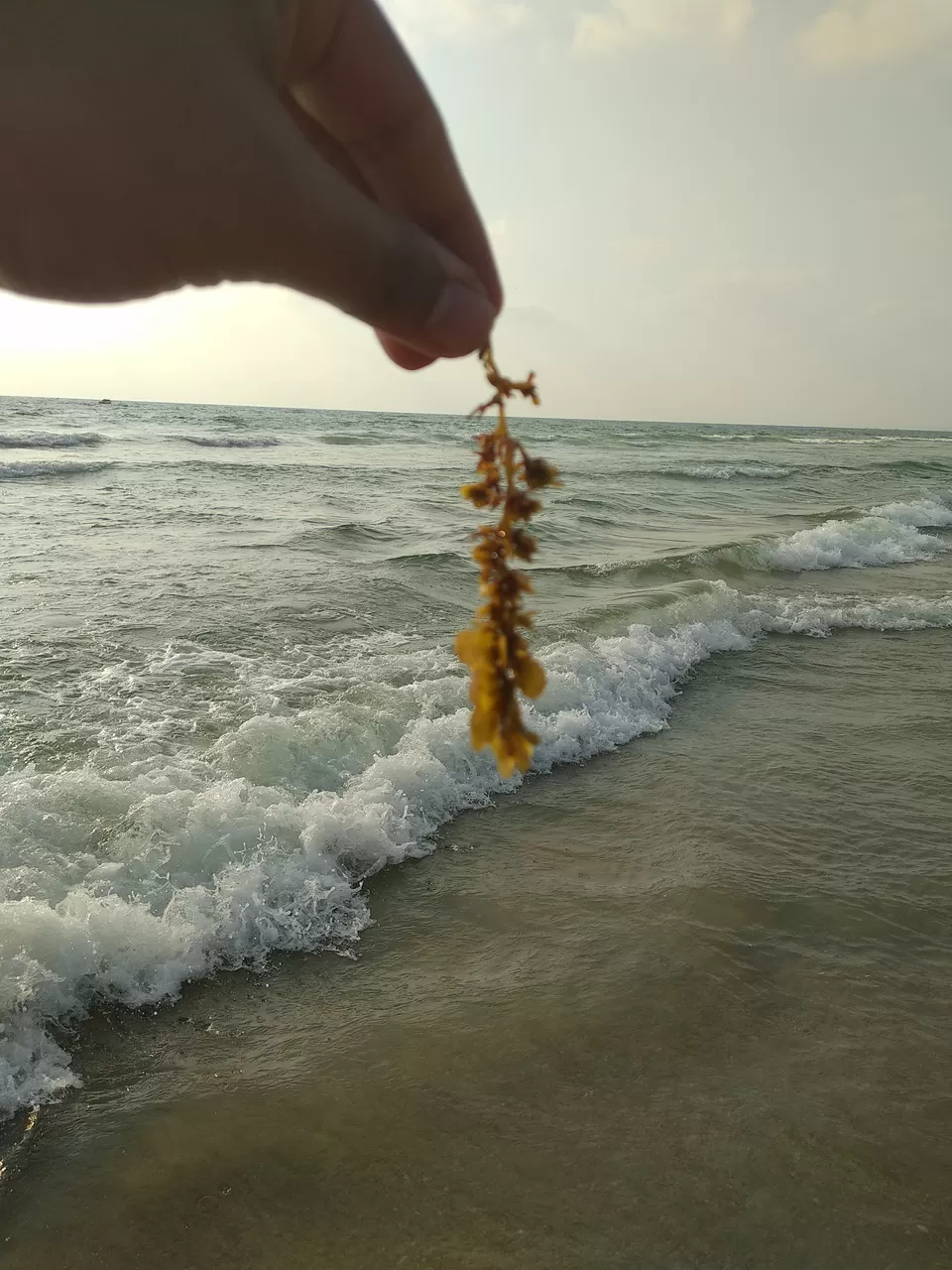 Photo of Goa - A Dream Lived | Day 3 by Vinayak Verma