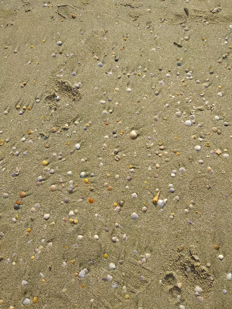 Photo of Goa - A Dream Lived | Day 3 by Vinayak Verma