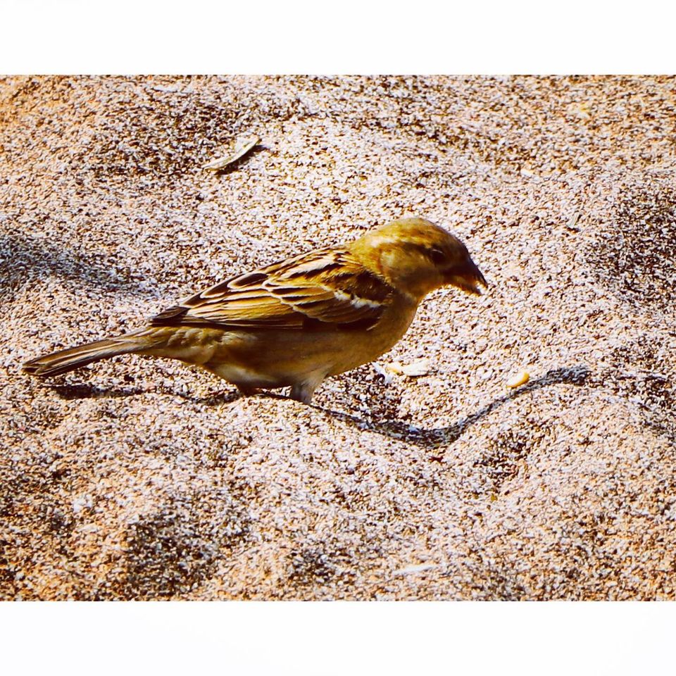 Photo of Mumbai Trip, Dec 2019 6/20 by Aditya Krishnatray