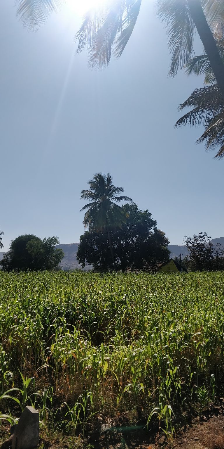Photo of Trip to Mahabaleshwar ???? by Shweta Landge