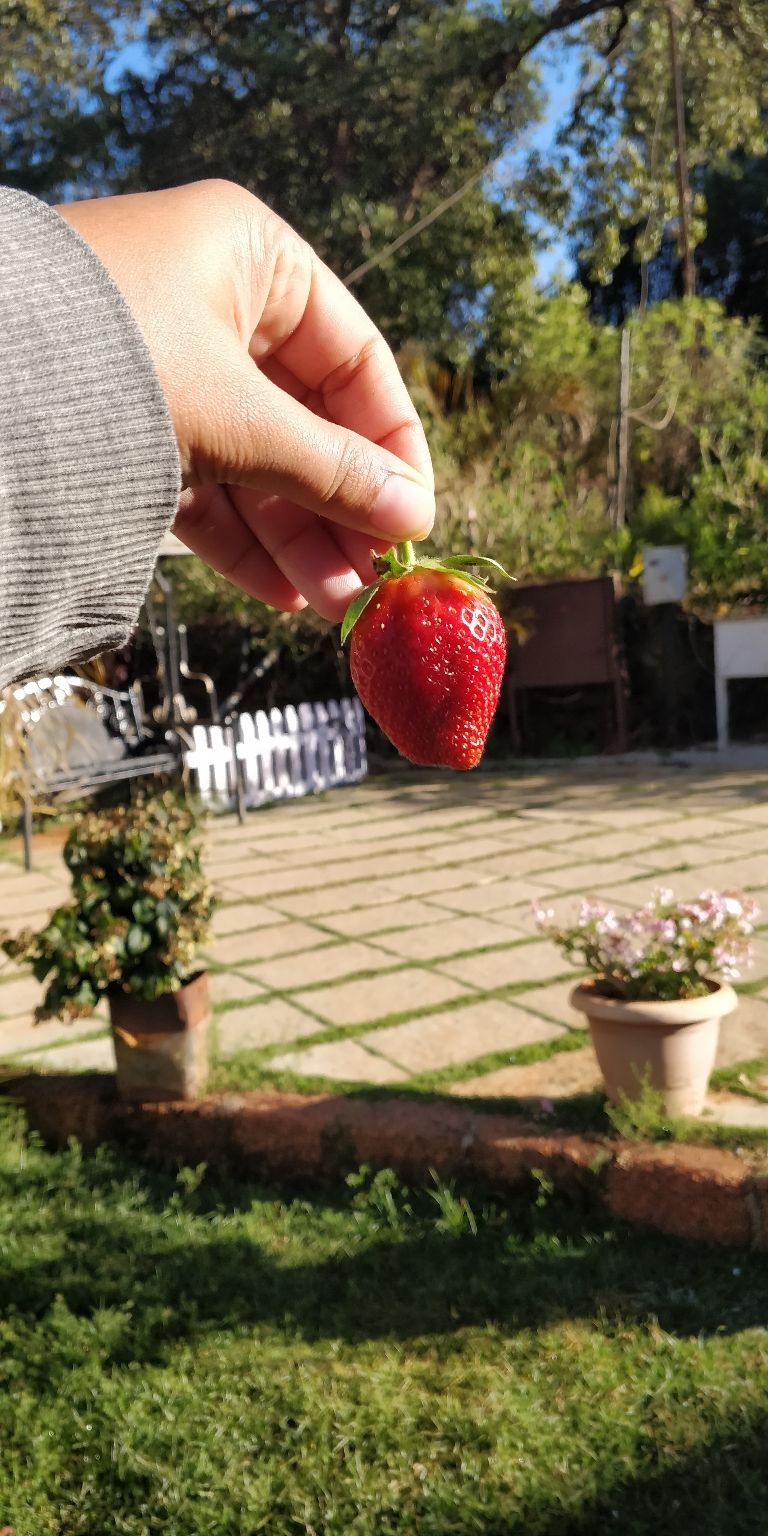 Photo of Trip to Mahabaleshwar ???? by Shweta Landge