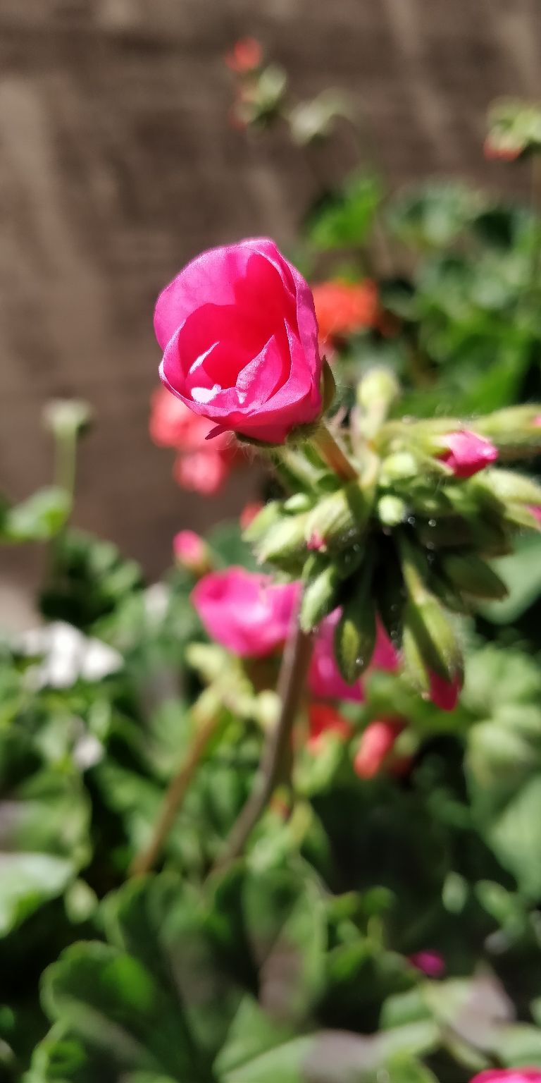 Photo of Trip to Mahabaleshwar ???? by Shweta Landge