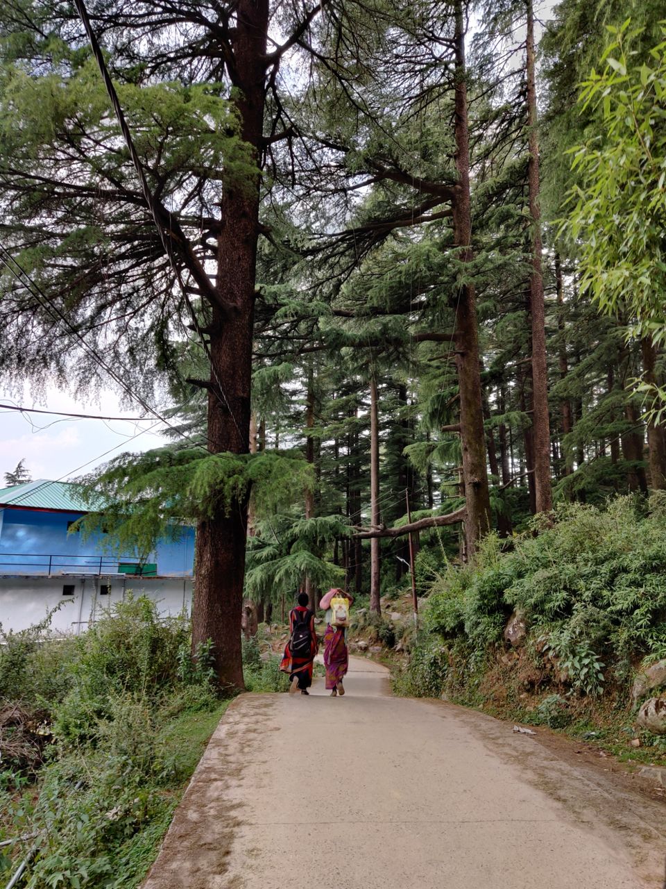Photo of My first solo trip ???? by Shweta Landge