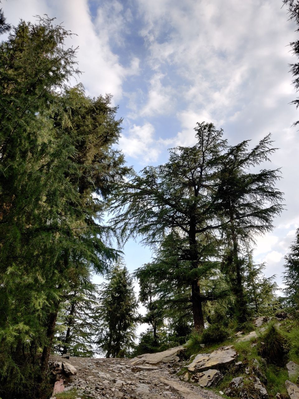Photo of My first solo trip ???? by Shweta Landge