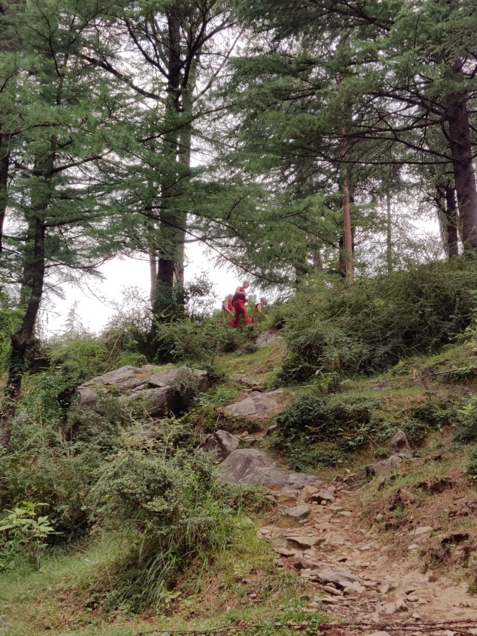 Photo of My first solo trip ???? by Shweta Landge