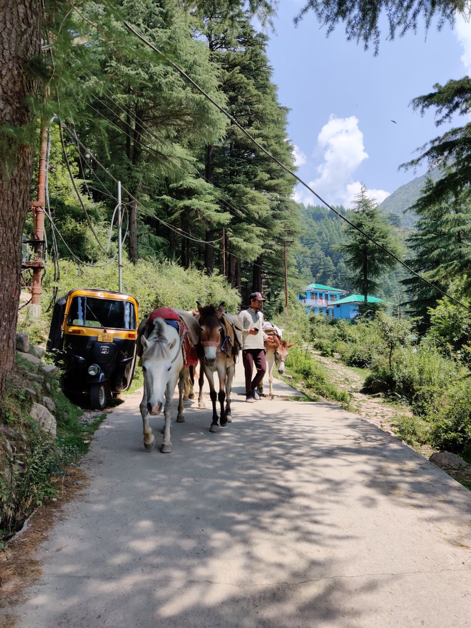 Photo of My first solo trip ???? by Shweta Landge
