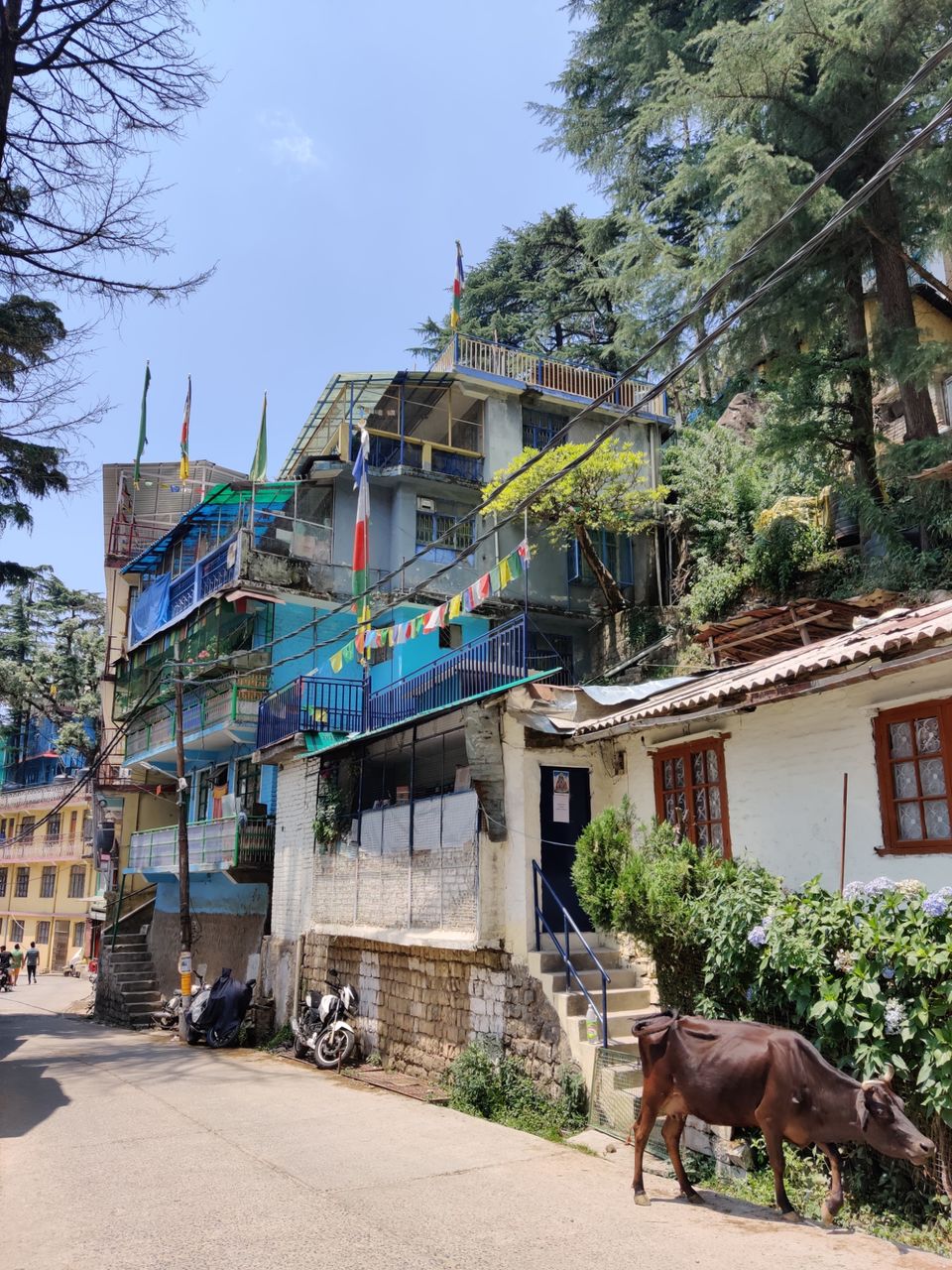 Photo of My first solo trip ???? by Shweta Landge
