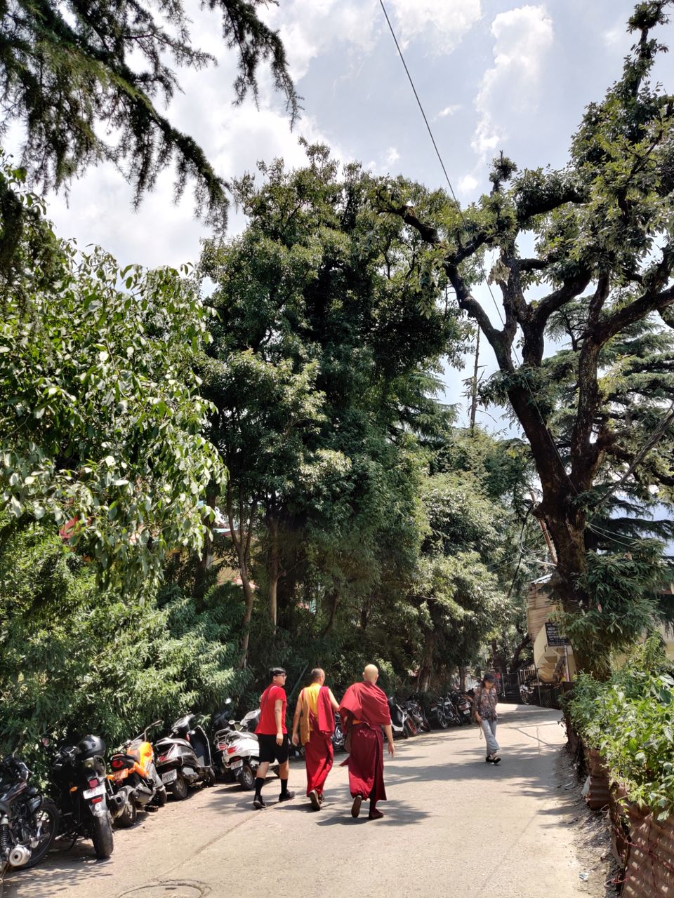 Photo of My first solo trip ???? by Shweta Landge
