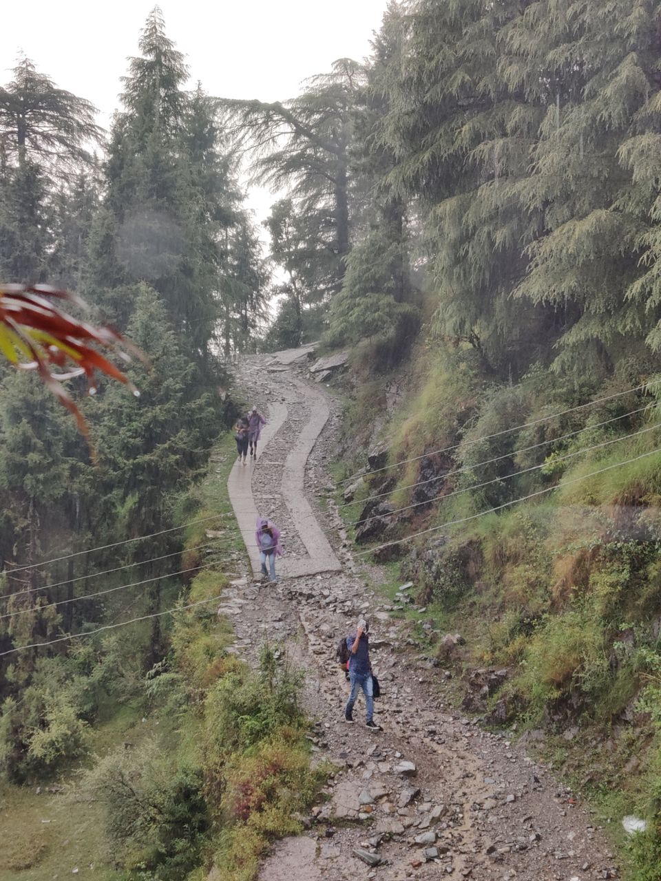 Photo of My first solo trip ???? by Shweta Landge