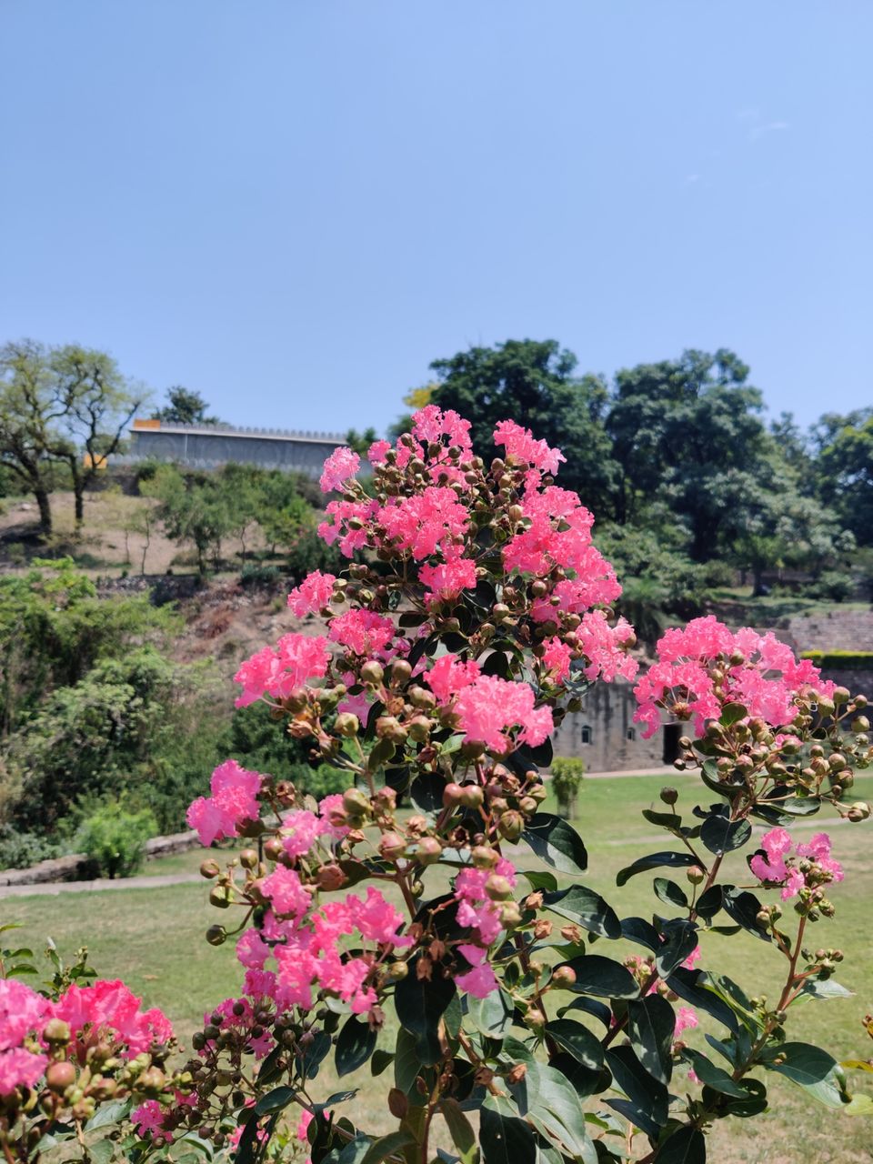 Photo of My first solo trip ???? by Shweta Landge