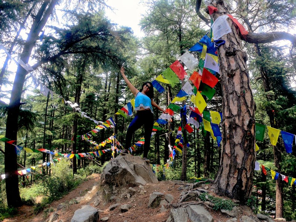 Photo of My first solo trip ???? by Shweta Landge