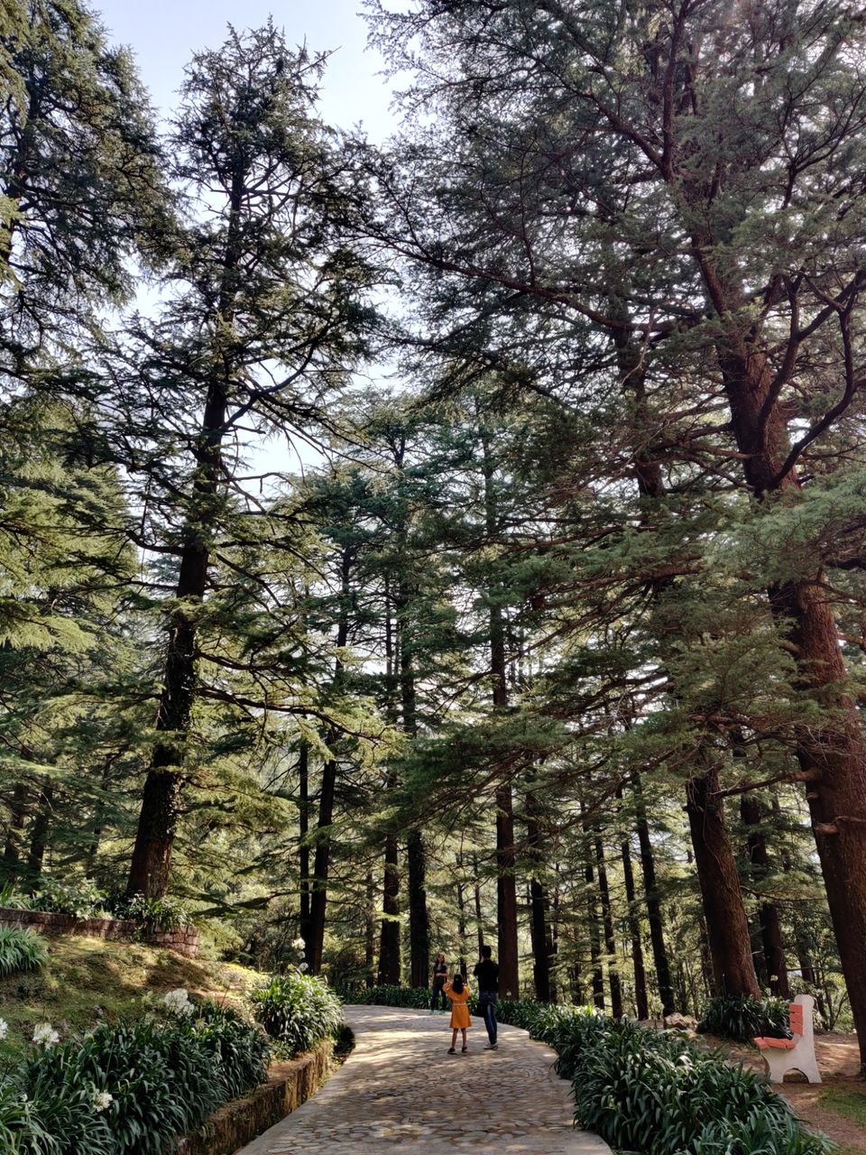 Photo of My first solo trip ???? by Shweta Landge