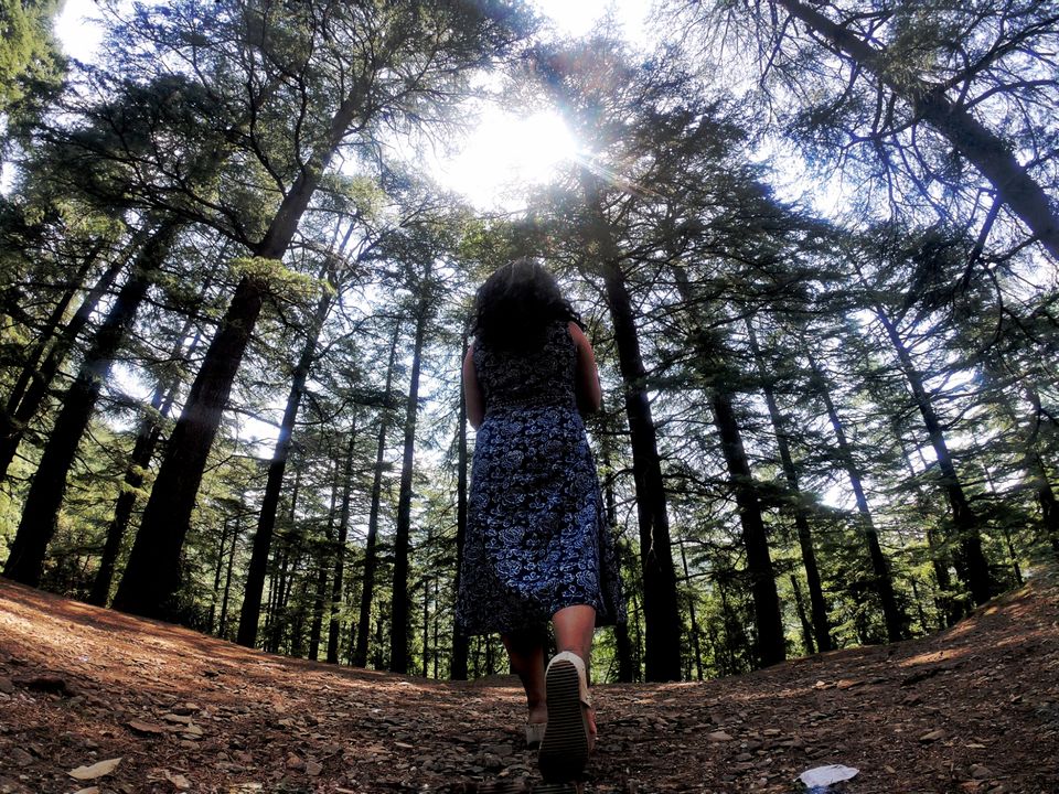 Photo of St. John in the wilderness, Lohna, Himachal Pradesh, Palampur, Himachal Pradesh, India by Shweta Landge