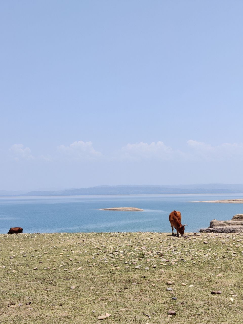 Photo of My first solo trip ???? by Shweta Landge