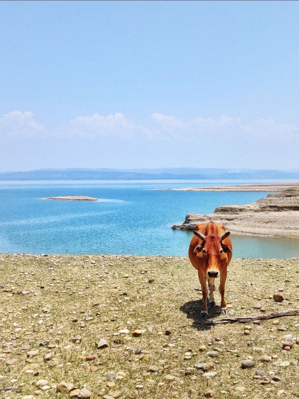 Photo of My first solo trip ???? by Shweta Landge