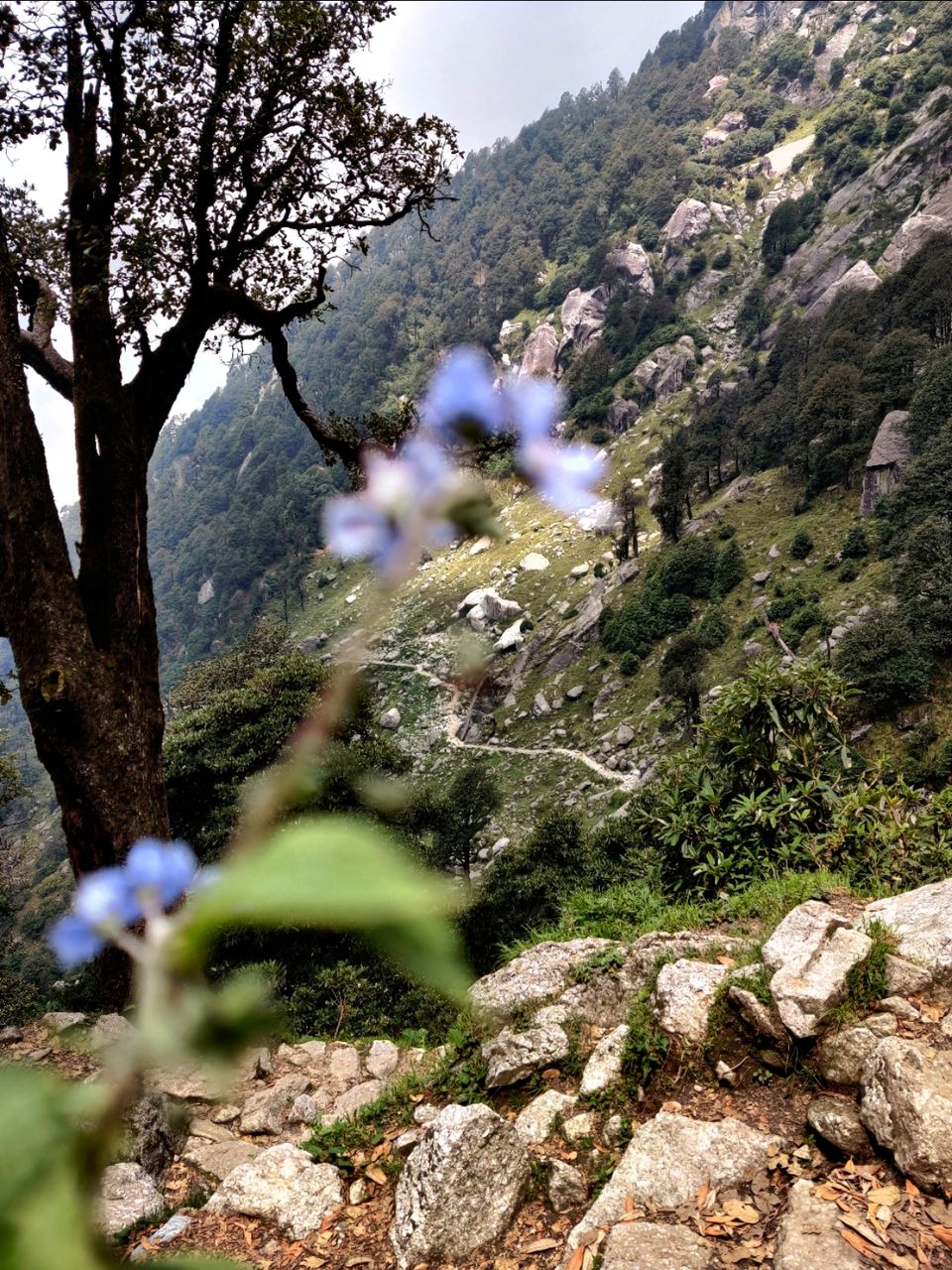Photo of My first solo trip ???? by Shweta Landge