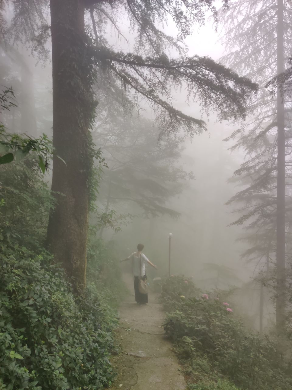 Photo of My first solo trip ???? by Shweta Landge
