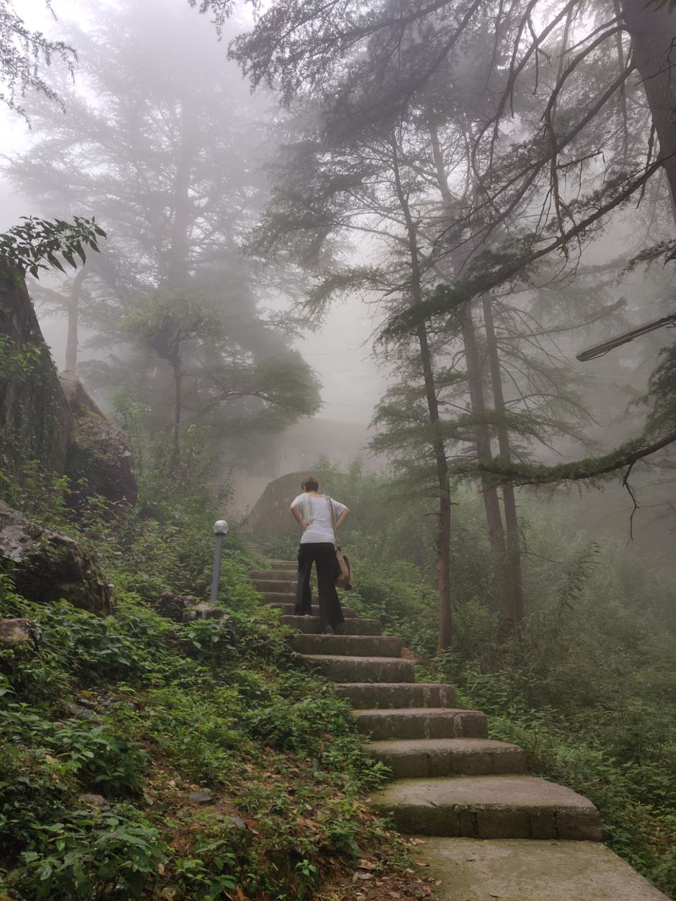 Photo of My first solo trip ???? by Shweta Landge