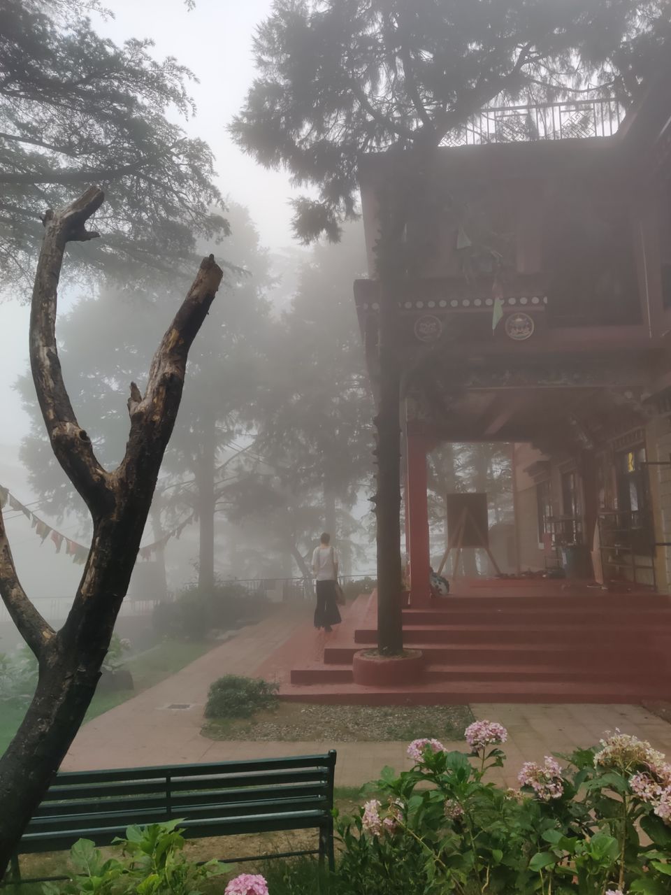 Photo of My first solo trip ???? by Shweta Landge
