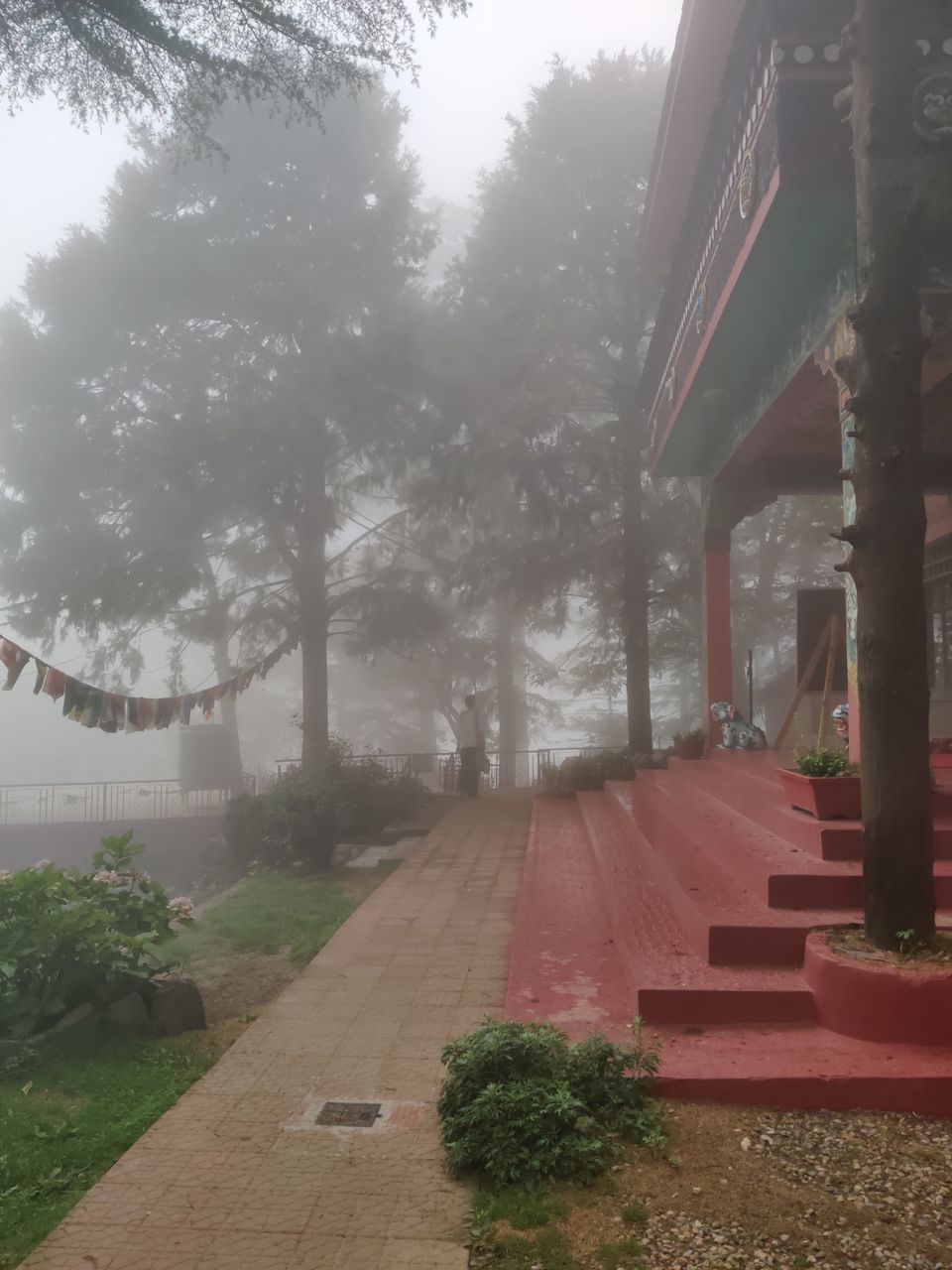 Photo of My first solo trip ???? by Shweta Landge