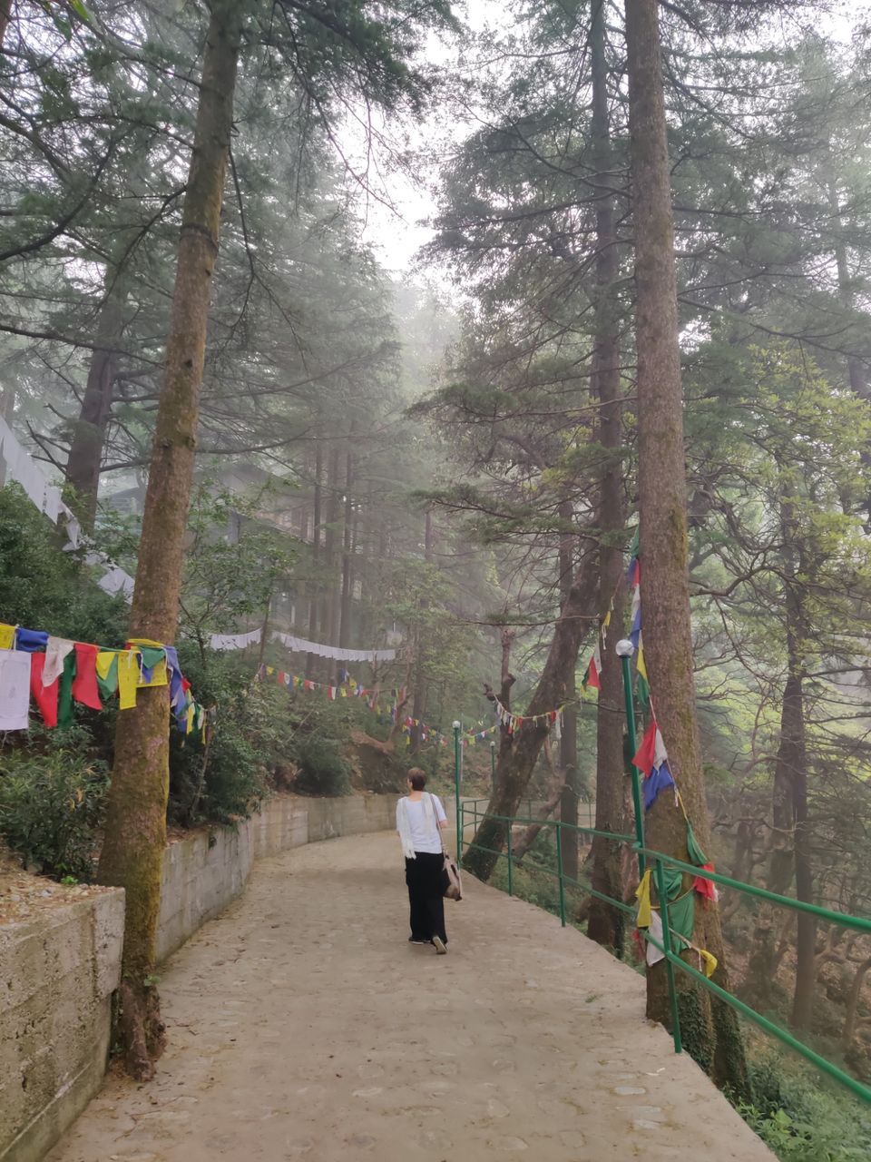 Photo of My first solo trip ???? by Shweta Landge