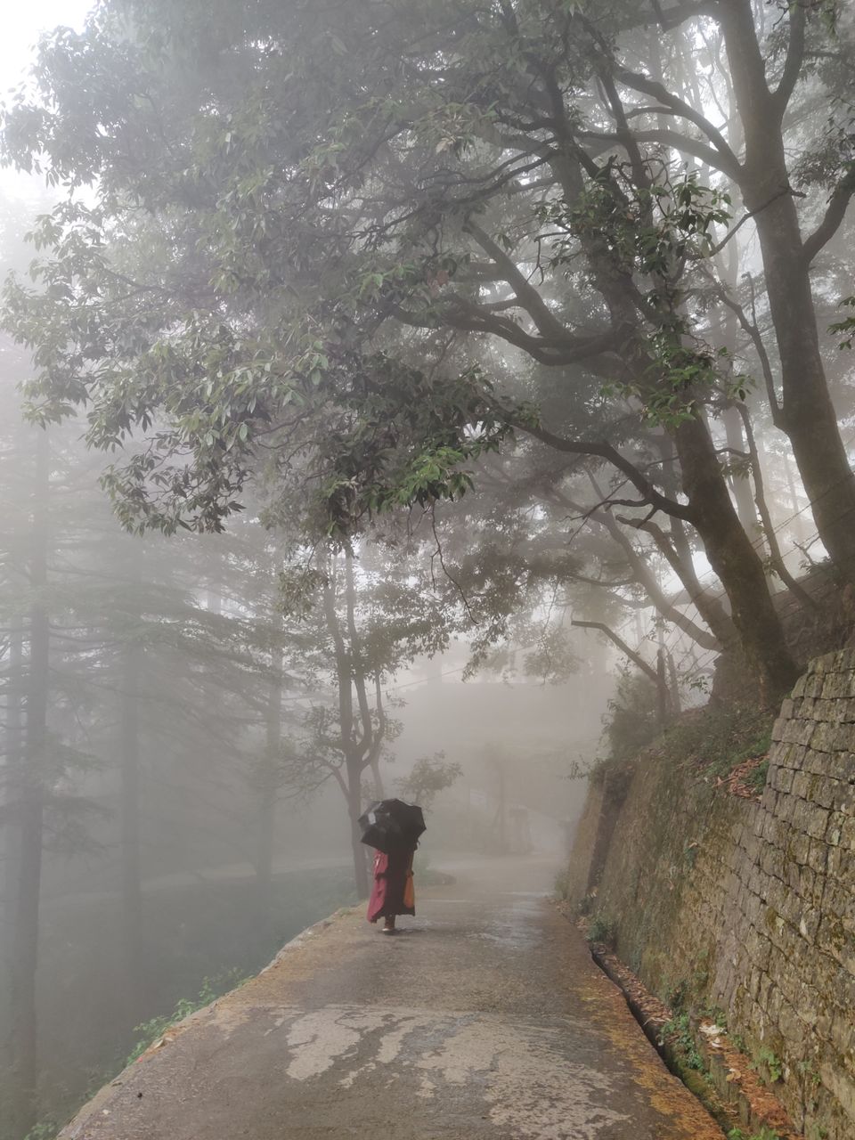 Photo of My first solo trip ???? by Shweta Landge