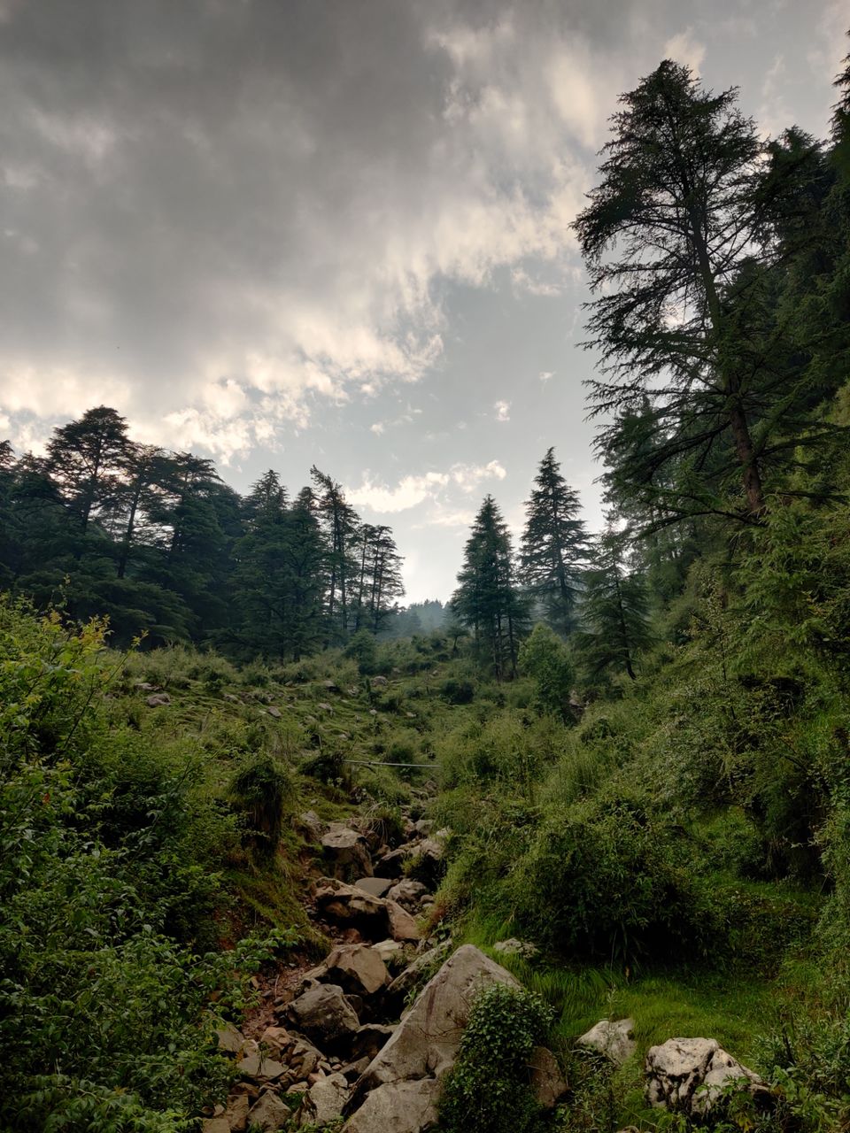 Photo of My first solo trip ???? by Shweta Landge