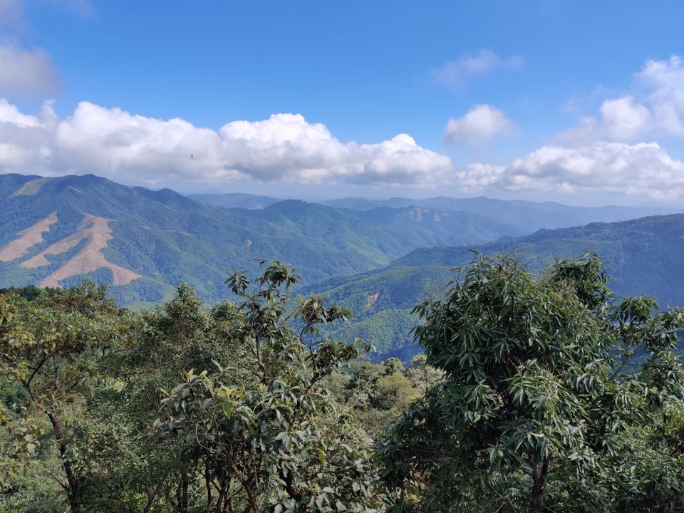 Photo of Hornbill is one of a kind #tripotocommunity by Shweta L
