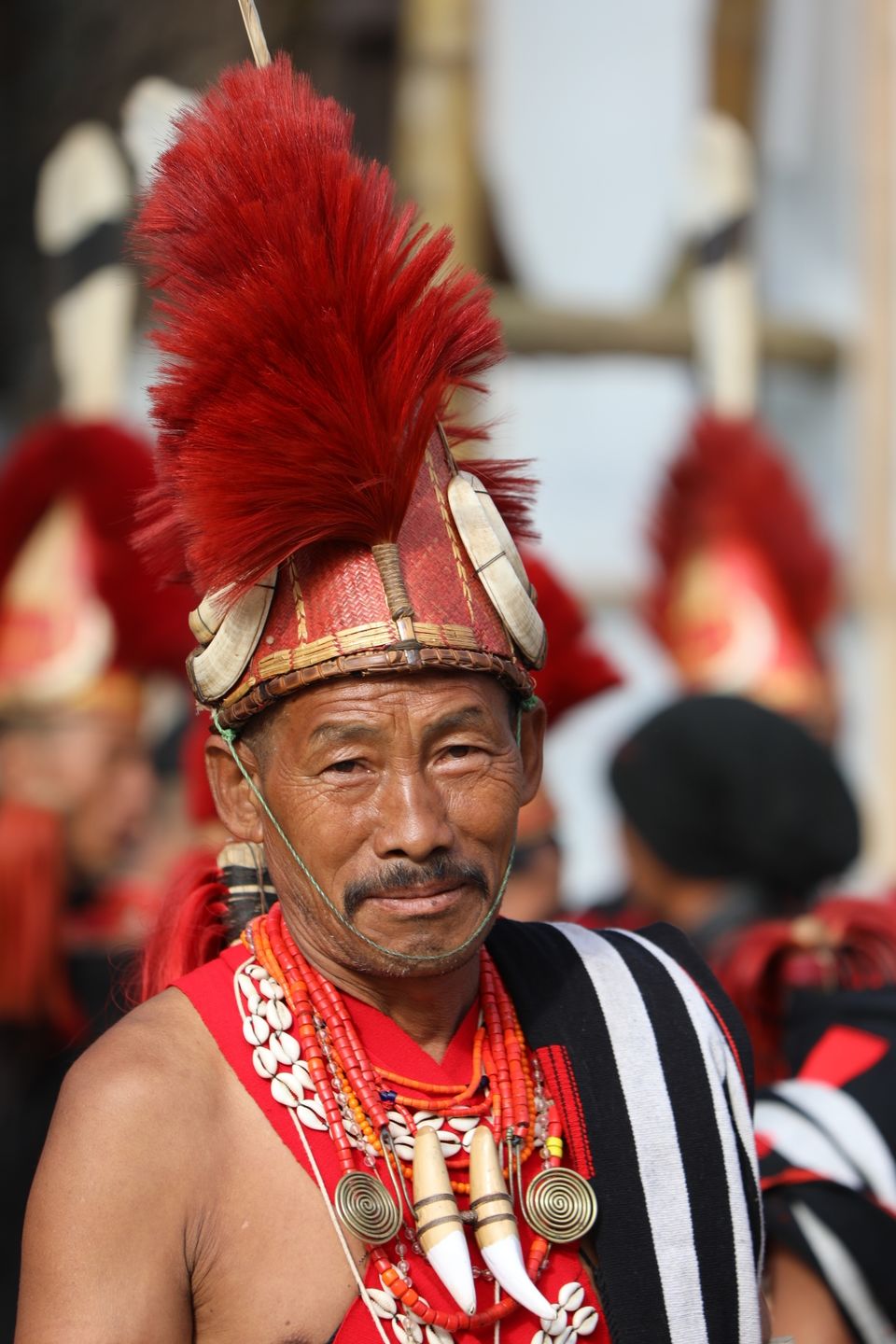 Photo of Hornbill is one of a kind #tripotocommunity by Shweta L