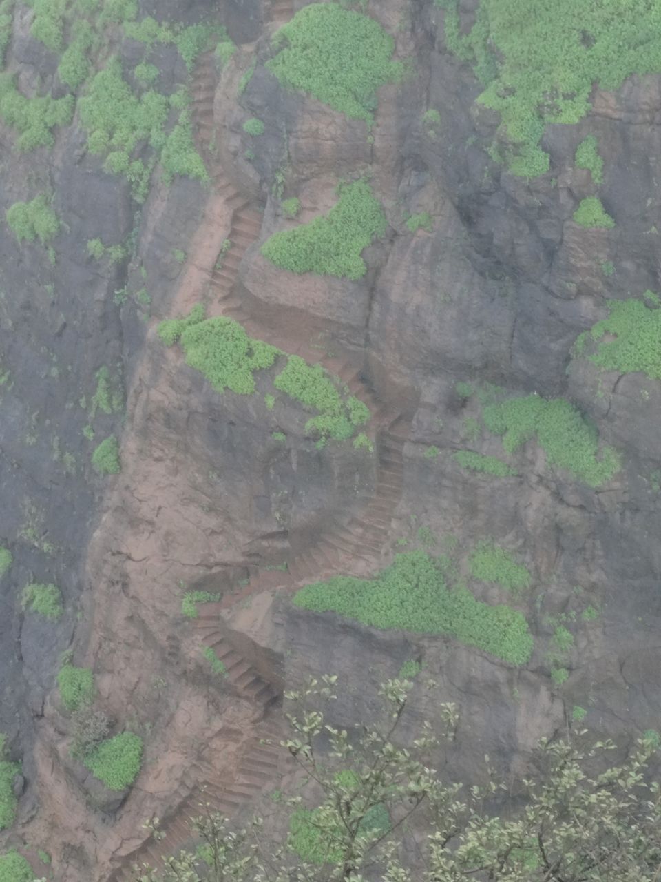 Photo of Kalavantin Durg, Panvel, Maharashtra, India by Swapnil Jagtap