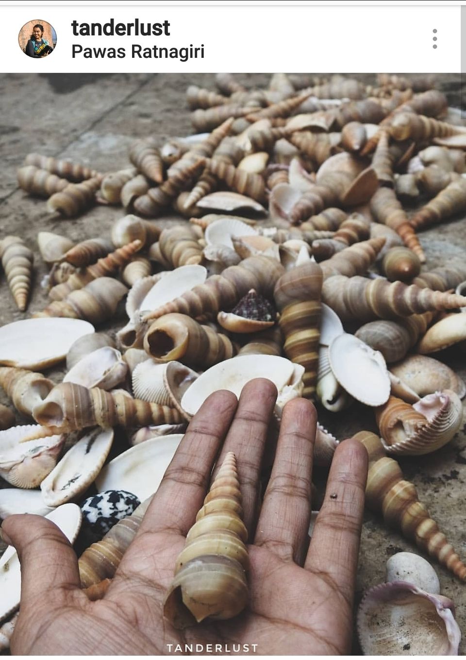 Photo of 10 Instagram travel photos, I'd like to share with my fellow travelers! by Tanvi Nadkarni