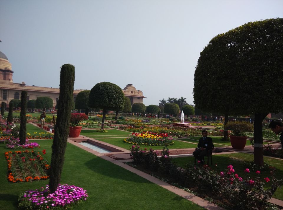 Photo of Mughal Garden, New Delhi, Delhi, India by Tanvi Nadkarni