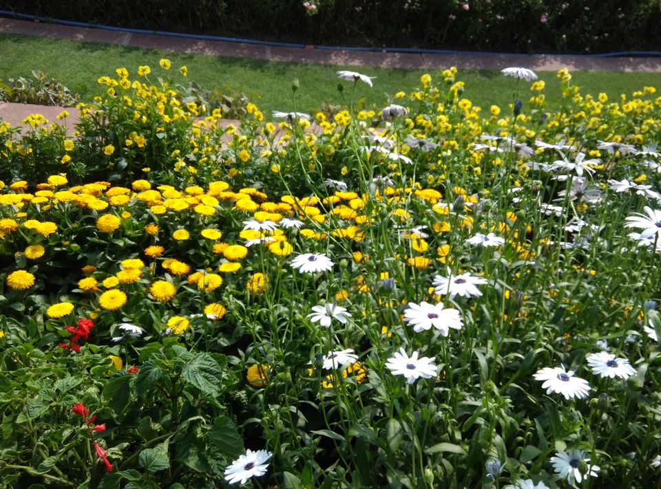 Photo of Mughal Garden, New Delhi, Delhi, India by Tanvi Nadkarni