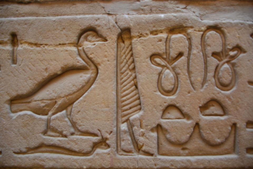 Photo of My history in the land of mystery: Egypt 6/15 by Tanvi Nadkarni