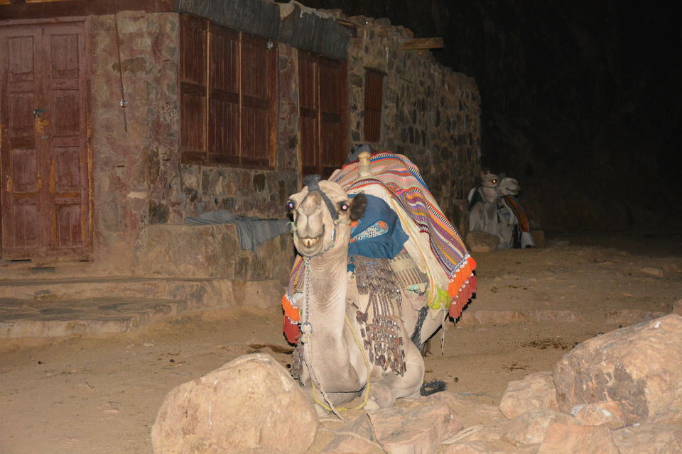 Photo of My history in the land of mystery: Egypt 8/15 by Tanvi Nadkarni