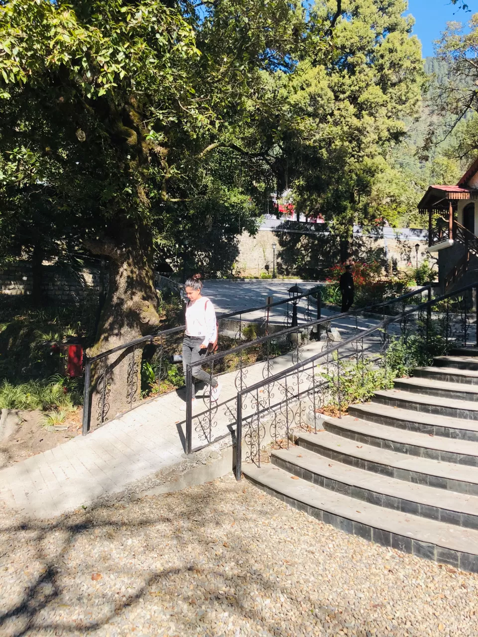 Photo of Road Trip To Nainital (Family Trip) by Gobbling Wanderer