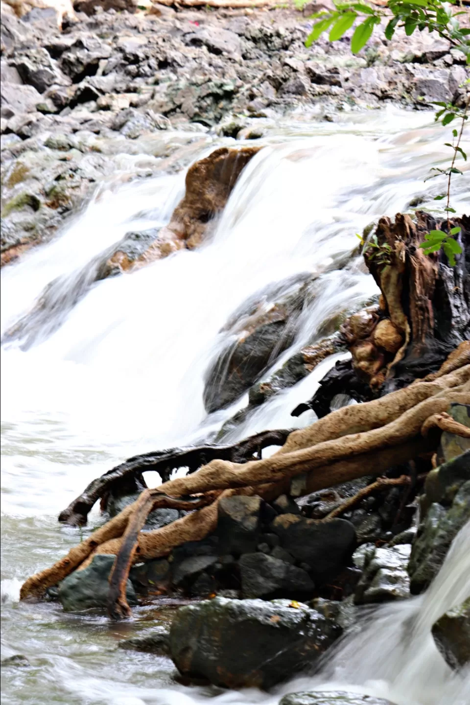 Photo of Mohadi Falls, Ghudiya, Udainagar, Madhya Pradesh, India by Yayawar_monk