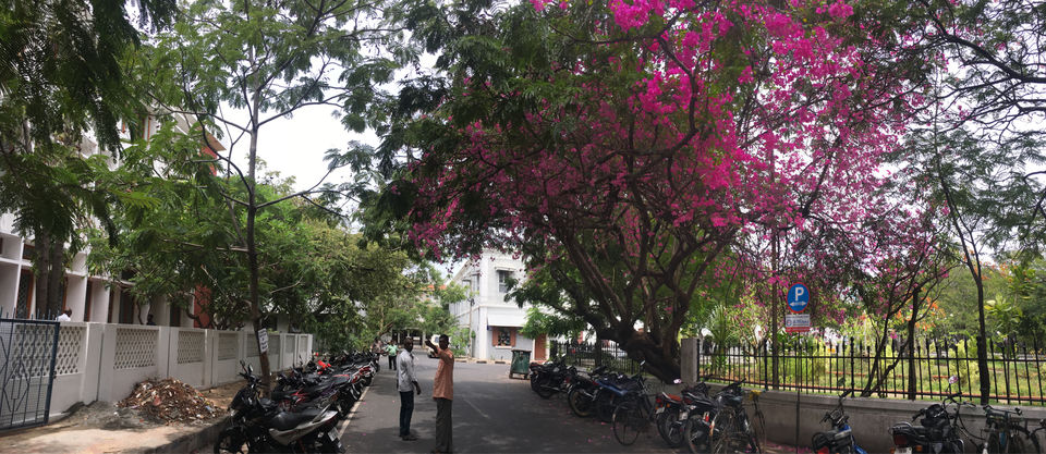 Photo of Pondicherry Diaries by Poorva Gupta