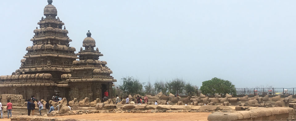 Photo of Pondicherry Diaries by Poorva Gupta