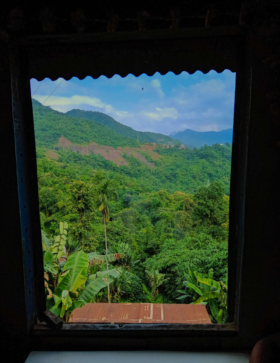 Photo of Monsoon Dzukou in just 4800 INR !Weekend Getaway in NorthEast India. by Chiranjeeb Sonowal