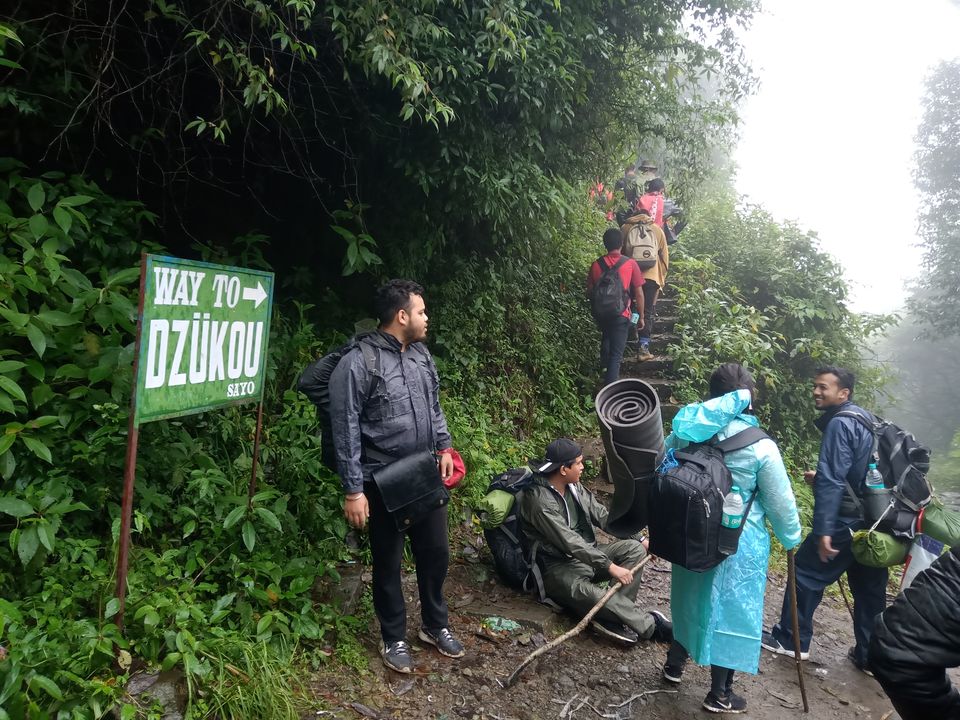 Photo of Monsoon Dzukou in just 4800 INR !Weekend Getaway in NorthEast India. by Chiranjeeb Sonowal